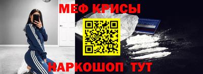 индика Кингисепп