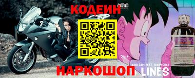 индика Кингисепп