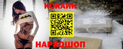 индика Кингисепп