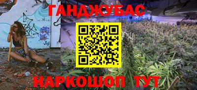 индика Кингисепп