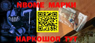 индика Кингисепп