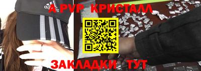 индика Кингисепп