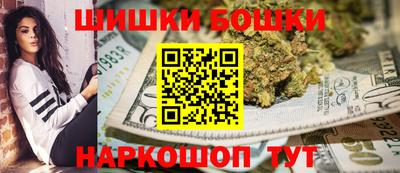 индика Кингисепп