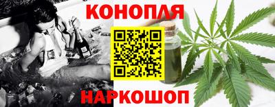 индика Кингисепп