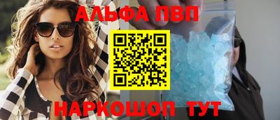 индика Кингисепп