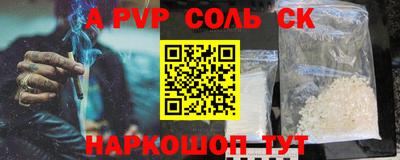 индика Кингисепп