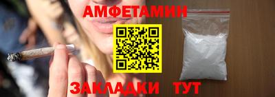 индика Кингисепп