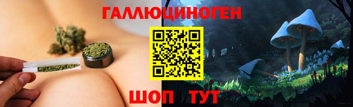 Вологда  Псилоцибиновые грибы Psilocybe  Галлюциногенные грибы GOLDEN TEACHER  Вход с VPN 